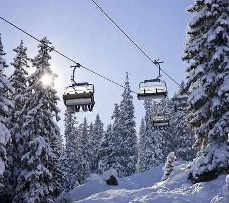 Family Mountain View - Upper Alley